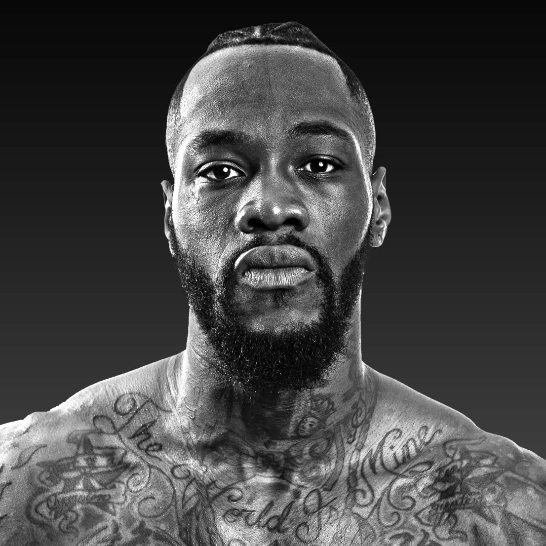 Wilder